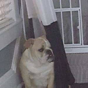 Meet your Posher, Julie